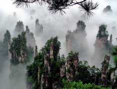人间仙境张家界森林公园