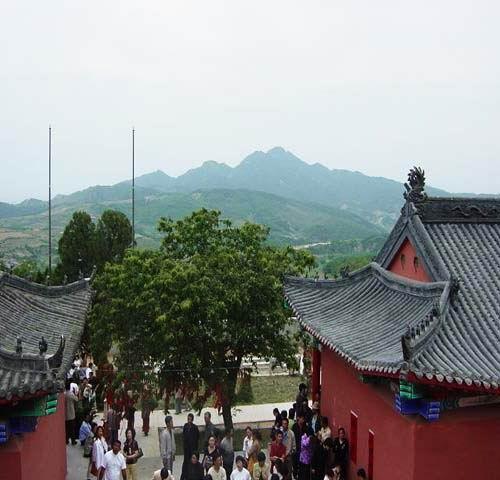 石河现代农业园区