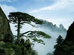 华山探险一日游
